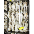 Gefrorener Tintenfisch hinterlassen Tentacles Nototodarus Sloanii 200-300g